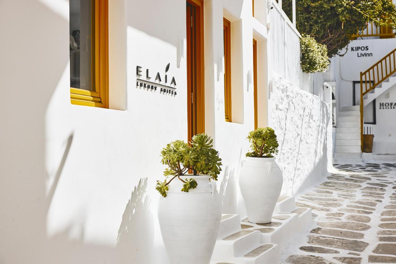 Mykonos Town Elaia Luxury Suites Mykonos מראה חיצוני תמונה