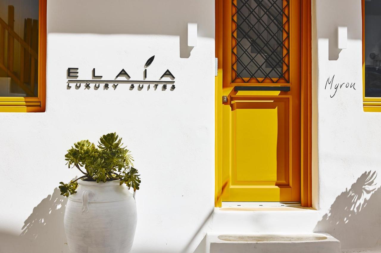 Mykonos Town Elaia Luxury Suites Mykonos מראה חיצוני תמונה