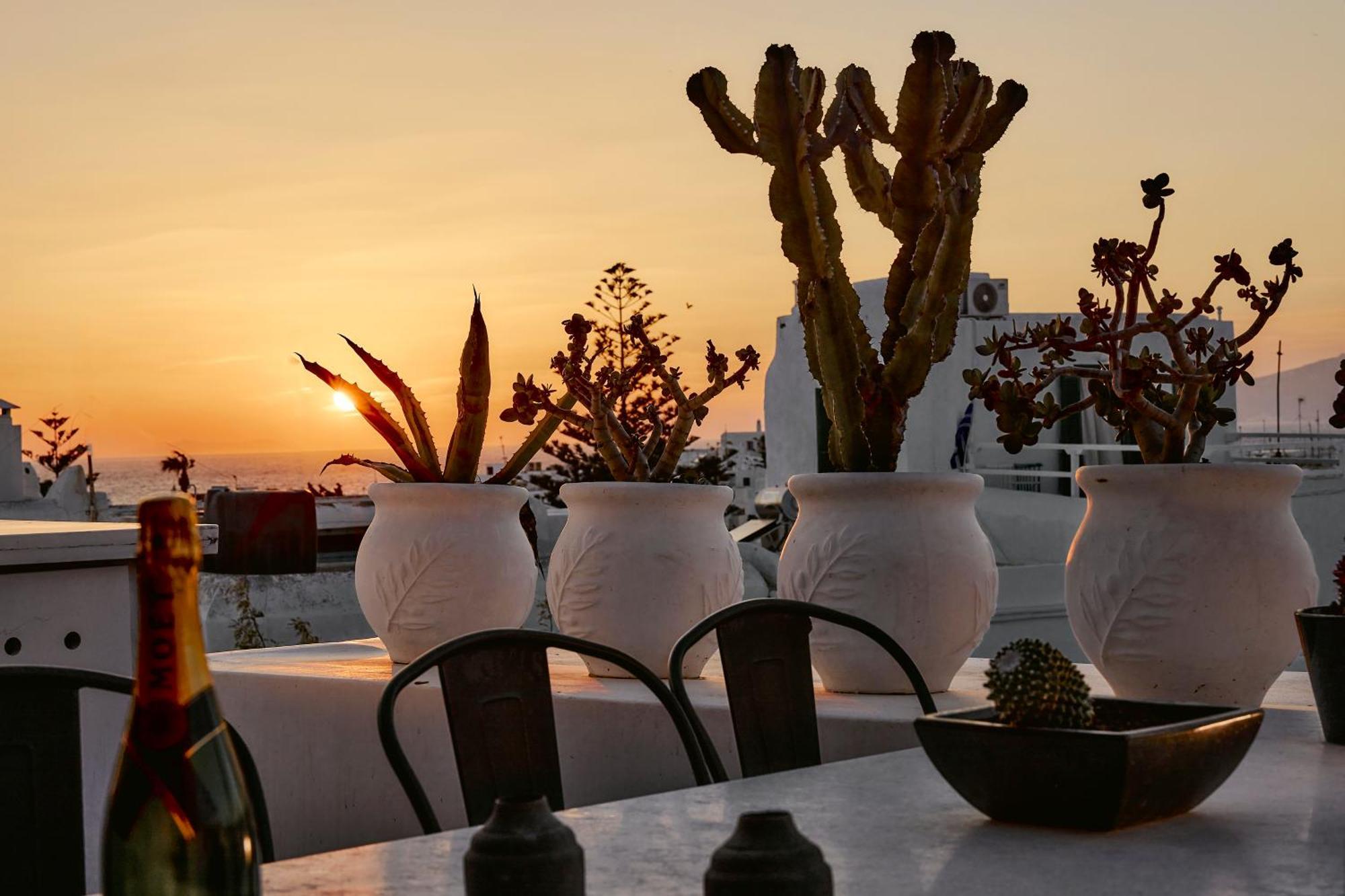 Mykonos Town Elaia Luxury Suites Mykonos מראה חיצוני תמונה